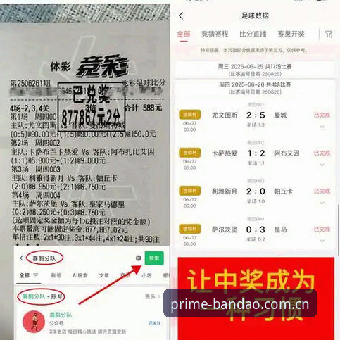 半岛体育平台电脑版官方下载完整指南：从安装到赛事数据查询的进阶攻略