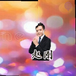 赵刚
